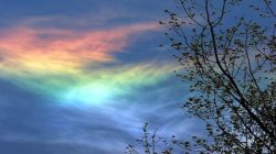sixpenceee:  A circumhorizontal arc is when an ice-halo is formed by plate-shaped ice crystals in cirrus clouds. The misleading term fire rainbow is sometimes used to describe them. But they are neither rainbows or related to fire. The name comes