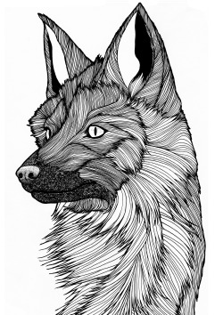 A fox I’ve been taking way to long on that I’ve drawn for my vixen, colour version to come! x    www.thesheffieldvixen.tumblr.com  
