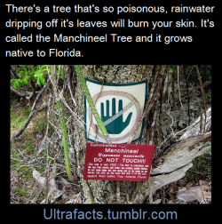 enusyilar:  ultrafacts:  Source    Follow Ultrafacts for more facts     Florida.  OF COURSE ITS IN FLORIDA