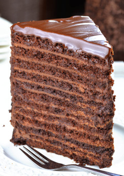 sweetoothgirl:   24 Layer Chocolate Cake