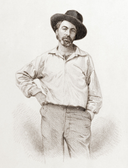 Walt Whitman, Age 37, Steel Engraving by Samuel Hollyer from a Lost Daguerreotype Photograph by Gabriel Harrison     1855