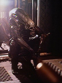 swedebeast:  Alternate costume design for the 1979 Alien, by H.R Giger. If you ask me, this one looks hella more freaky than the one they went with, but I am not sorry that they chose the more alien, faceless design.