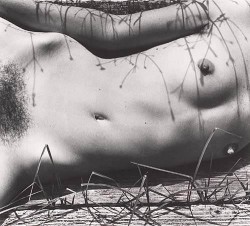 delicatesexandlove: almavio:  Walter Chappell (1925-2000) • Nude Grass Volcano, Hawaii, 1977      (via TumbleOn)