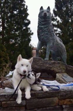 In their hero’s shadow (statue of Balto in Central Park, New York)