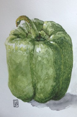 Bell Pepper Just another watercolor practice I made the other day. Man I feel very uninspired&hellip; I hope I get to draw something else more often.  