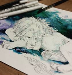 ma-at-thought:  akreon:  #inktober2016 #inktober #watercolor #lion #whitelion  This is amazing. 