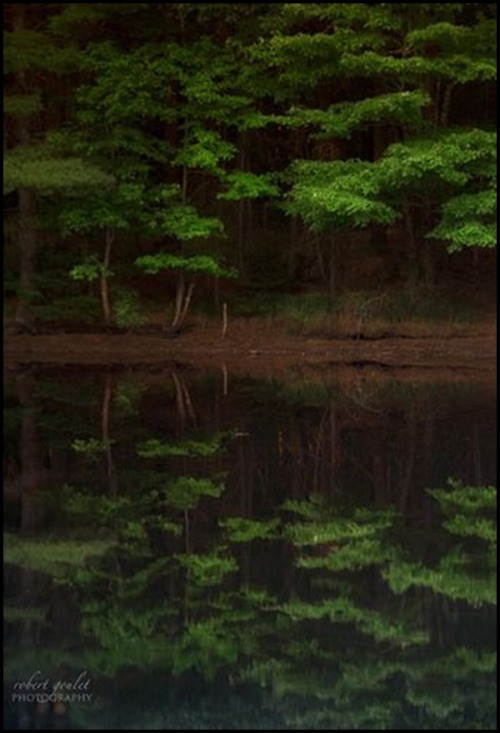 crescentmoon06:  Mirror Image by Robert Goulet on 500px 