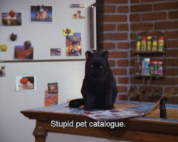 charybdis-sans-fond:salem was very trully representative of the gays. Like i watched my fair share of lgbt movie but this cat held more of my identity and culture than any gay character on tv