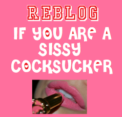 smallcocksissy:  tiffany-johnson69:  michelleksissy:  I AM FOR CERTAIN !!!!!!!  Me too!! :)  i am and proud of it.   As long as the Cock is Big and/or Black!