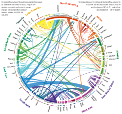 Futuramb:  Where Everyone In The World Is Migrating—In One Gorgeous Chart Nick
