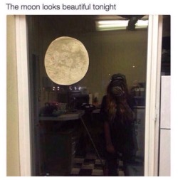 ponytail-pearl:  uberfag:  is that a tortilla   no its the moon 