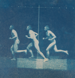 desimonewayland:  Motion study: Thomas Eakins nude, running to the left, Circle of Eakins, 1885, Cyanotype, 2 ½ x 2 7/16 in. (6.35 x 6.14045 cm.)via: PAFA