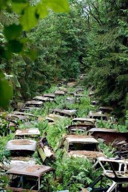 alljustletters:  thebeautyofperception:    [images of abandoned (and often crashed) cars, planes, buildings, highway bridges etc., being reclaimed and overgrown by nature] 