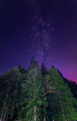 mistymorningme:Night Trees by `James WheelerChilliwack Lake, British Columbia, Canada