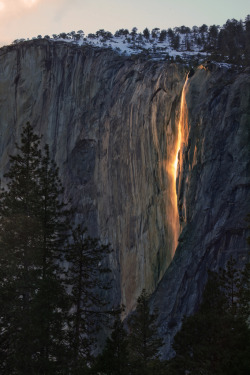 touchdisky:  Yosemite National Park, California