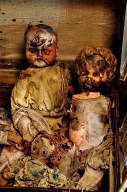 In the Asylum - Dolls of Former Patients