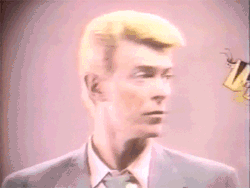 hobolunchbox:  Bowie.