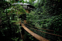 cjwho:  finca bellavista: a sustainable treehouse