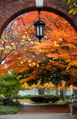 travelgurus:               The Amazing Autumn at Cambridge, Boston by   Hongzi Ma                                                 (exact location on the source)             Travel Gurus - Follow for more Beutiful