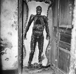 A skeleton in the Capella Sansevero, an ancient Italian church which has been turned into a private museum of anatomical petrification. The skeleton was given an injection before death which somehow preserved all veins, arteries and capillaries. (Photo
