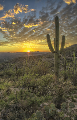 “Tucson Sunset” jerrysEYES