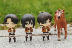 nendoroid-adventures:  Levi, Mikasa, Eren… and Jean. 