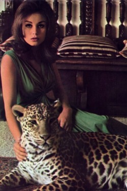 beatnikdaddio:  bigbennklingon: Lana Wood  everything-i-own-is-leopardprint