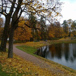 #Autumn #sonata 6 / #Gatchina #imperial #park #photowalk / #Oktober