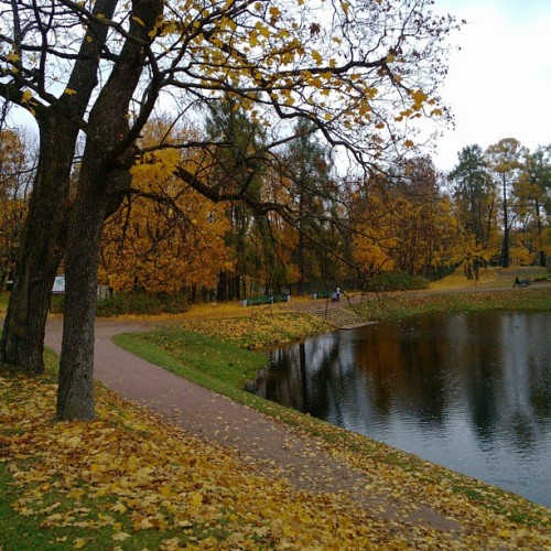 #Autumn #sonata 6 / #Gatchina #imperial #park #photowalk / #Oktober #2013 #Landscape #reflections #colors #colours #photorussia #photorussia_spb #Гатчина #Россия #пейзаж