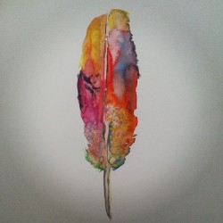 #feather #colour #painting #watercolour #red #pink #yellow #pretty #art Painted for Gabriel :)