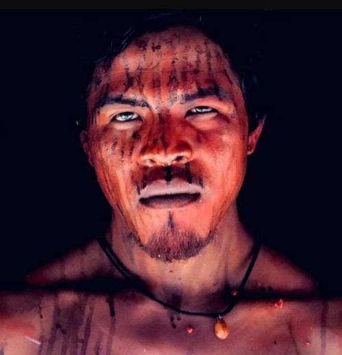 Paulo Polino, “the guardian of Amazonia”, has been murdered by wood traders&hellip;https://painted-face.com/
