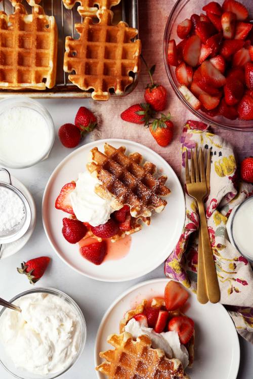 candid-appetite:  Belgian Waffle Strawberry Shortcakes are on the blog, along with the season 3 premiere of Married and Hungry! Give it a watch, if you haven’t already!