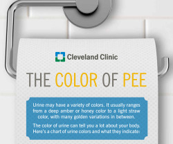 matchbook-stories:  snarkbender:  fitbumblebee:  What the Colour of your Urine Says About your Health  there is no such thing as purple urine  i wanna find a way to pee purple now 