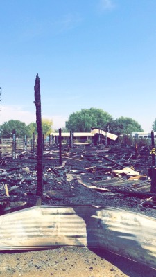 classicaldreaming:  khaleesiofgays:  Hey all my horse people on tumblr. Our worst nightmare happened this week. The barn I keep my horse at and work at burned to the ground. We saved 8 out of the 9 horses in the barn but unfortunately we lost our sweet