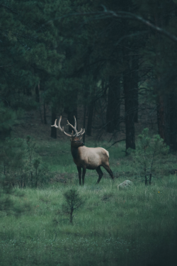 expressions-of-nature:  by Nick Sorenson 