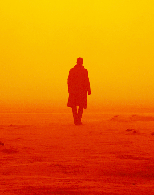 kane52630: Blade Runner 2049 (2017) dir. Denis Villeneuve