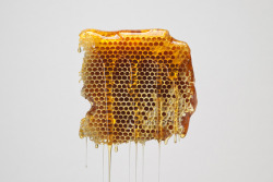 khozei:  asthetiques:  HONEY - ONE OF THE MOST BEAUTIFUL THINGS ON THIS EARTH.  khozei 