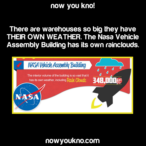 nowyoukno:  Now You Know more amazing facts! (Source)   Errrrrrr