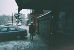celeritious:     Day 11 by hannah metz Via Flickr: disposable camera photo a day.   