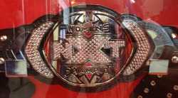 It&rsquo;s way better than the WWE Diva&rsquo;s Title that&rsquo;s for sure!!