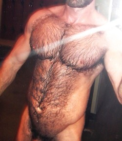 hairy-chests:  http://hairy-chests.tumblr.com      Submit MoDeL G      Cock - Gif 