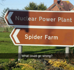 thatsthat24:  tastefullyoffensive:  (photo via hickorydickorydank)  I know who the next Spider-Man is gonna be: Me.