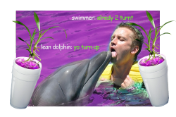 ugotinternet:  lean dolphin #leandolphin