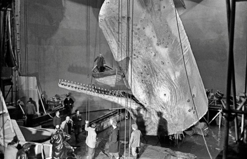 Frank Horvat - Elstree Film Studios, tournage de « Moby Dick », Angleterre, 1954.