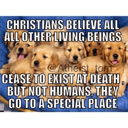 natskep:  Visit http://natskep.com - #atheist #atheism #atheists #church #christian #religion #catholic #baptist #heaven #hell #jew #agnostic #agnostics #theist #theism #godless #freethinker #bible #faith