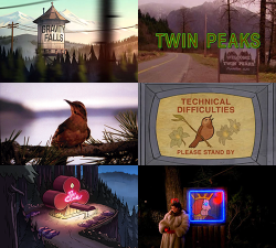 slippinkimmy: Alex Hirsch: Twin Peaks fans have existed for decades, and Gravity Falls fans are only just beginning, so the crossover… I haven’t seen a Venn diagram, but more people picked up on it than I ever thought. I love Twin Peaks, and because