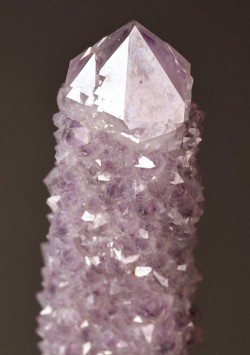 froggybangbang:   bijoux-et-mineraux:  Quartz var. Amethyst (Cactus Quartz) from Boekenhouthoek area, Mpumalanga Province, South Africa  *looks at it**looks at it some more**looks around the room*Is it… It’s it just me then?   it’s not just you