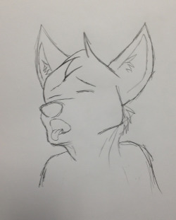 shadow-the-kitsune:  rainbows-and-paws:Day 320: More suggestive expression practice.   I am going to make this into rex-the-shepherd when I digitize it, since you guys loved my other one so much. (^//^)