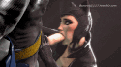Requested Catwoman sucking Batman 720p Medium