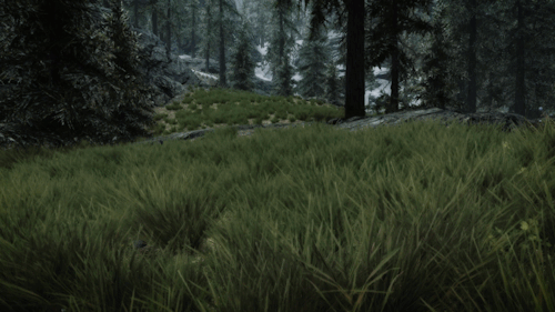 skyrim gifs porn pictures